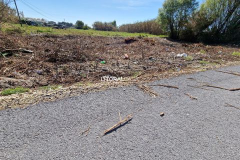 Helårsgrund i Murtosa, Aveiro, Murtosa - € 57.500 | Ref: VEN-3635 B - foto 9