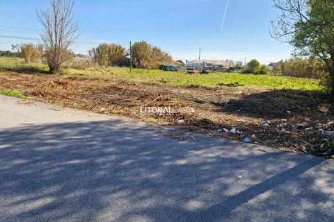 Helårsgrund i Murtosa, Aveiro, Murtosa - € 57.500 | Ref: VEN-3635 B - foto 12