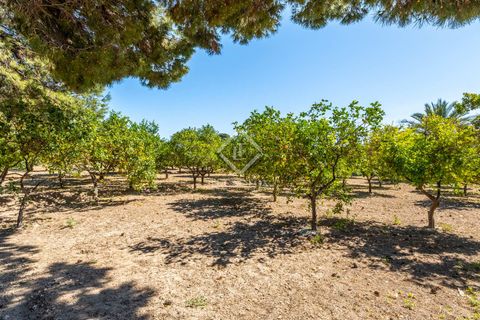 Villa i Mutxamel, Alicante, Mutxamel - € 2.375.000 | Ref: ALI39532 - foto 40