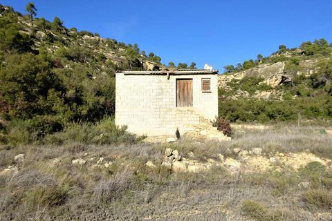 Finca i Maella, Zaragoza, Maella - € 12 500 | Ref: 0834 - foto 18
