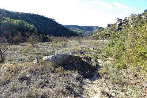 Finca i Maella, Zaragoza, Maella - € 12 500 | Ref: 0834 - foto 21