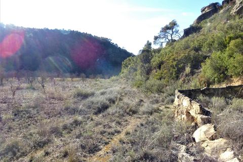 Finca i Maella, Zaragoza, Maella - € 12 500 | Ref: 0834 - foto 24