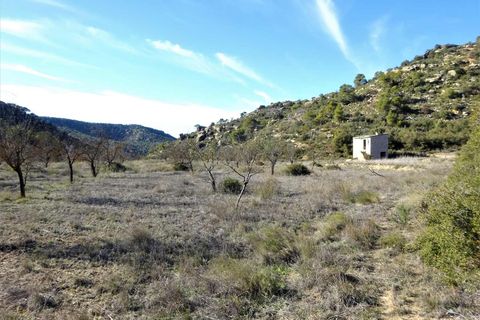 Finca i Maella, Zaragoza, Maella - € 12 500 | Ref: 0834 - foto 7
