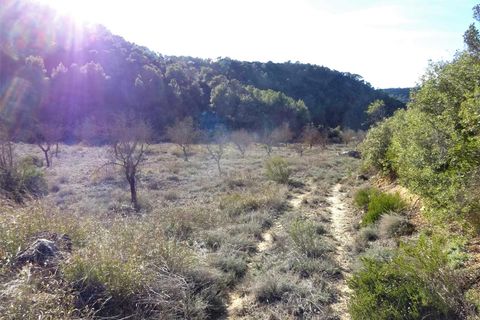 Finca i Maella, Zaragoza, Maella - € 12 500 | Ref: 0834 - foto 20