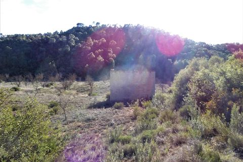 Finca i Maella, Zaragoza, Maella - € 12 500 | Ref: 0834 - foto 17