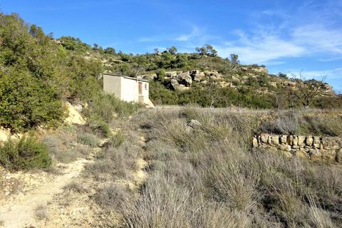 Finca i Maella, Zaragoza, Maella - € 12 500 | Ref: 0834 - foto 19