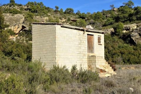 Finca i Maella, Zaragoza, Maella - € 12 500 | Ref: 0834 - foto 1
