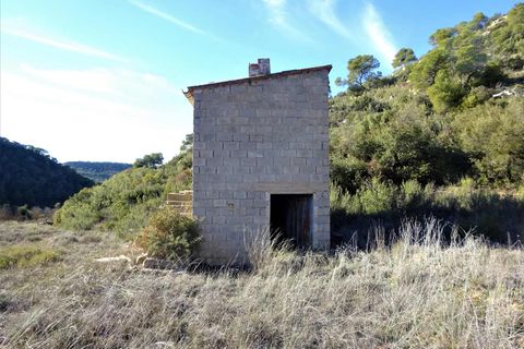 Finca i Maella, Zaragoza, Maella - € 12 500 | Ref: 0834 - foto 9