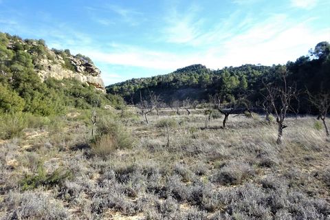 Finca i Maella, Zaragoza, Maella - € 12 500 | Ref: 0834 - foto 6