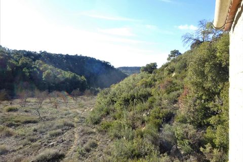 Finca i Maella, Zaragoza, Maella - € 12 500 | Ref: 0834 - foto 16