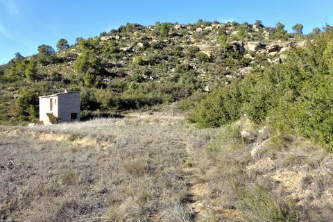 Finca i Maella, Zaragoza, Maella - € 12 500 | Ref: 0834 - foto 8