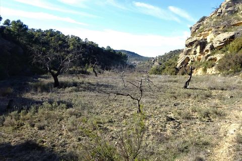 Finca i Maella, Zaragoza, Maella - € 12 500 | Ref: 0834 - foto 2