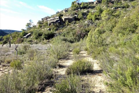 Finca i Maella, Zaragoza, Maella - € 12 500 | Ref: 0834 - foto 5