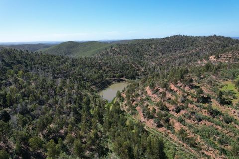 Ruinere i Silves, Faro, Silves - € 500.000 | Ref: 215 - foto 3