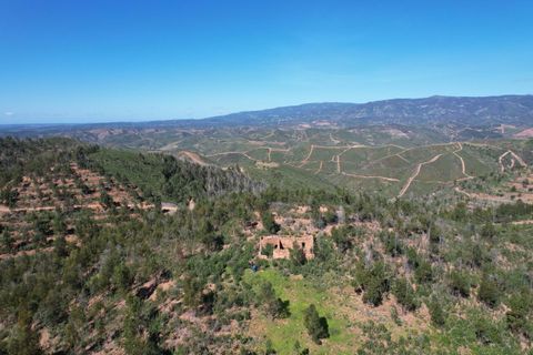 Ruinere i Silves, Faro, Silves - € 500.000 | Ref: 215 - foto 12