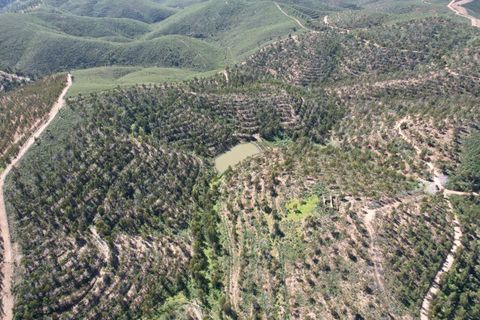 Ruinere i Silves, Faro, Silves - € 500.000 | Ref: 215 - foto 13