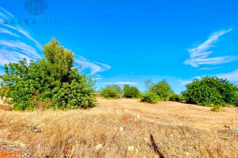 Helårsgrund i Almancil, Faro, Almancil - € 700.000 | Ref: 9152 - foto 2
