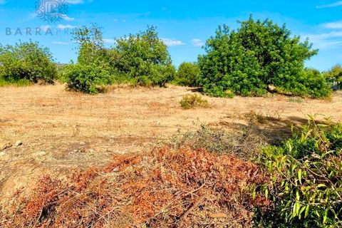 Helårsgrund i Almancil, Faro, Almancil - € 700.000 | Ref: 9152 - foto 3