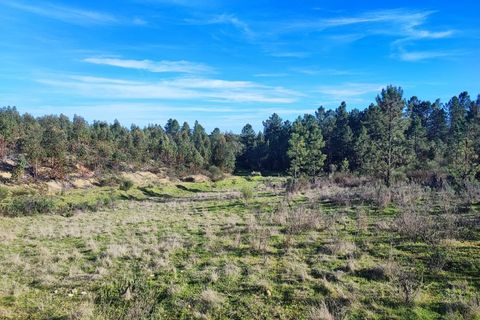 Helårsgrund i Castelo Branco, Castelo Branco, Castelo Branco - € 19.500 | Ref: SÒL_280 - foto 7