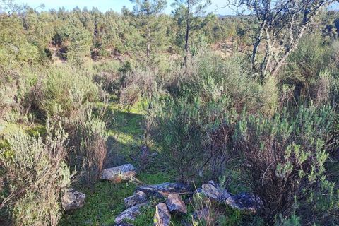 Helårsgrund i Castelo Branco, Castelo Branco, Castelo Branco - € 19.500 | Ref: SÒL_280 - foto 8