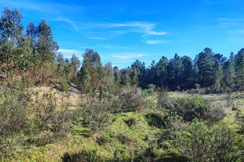 Helårsgrund i Castelo Branco, Castelo Branco, Castelo Branco - € 19.500 | Ref: SÒL_280 - foto 3