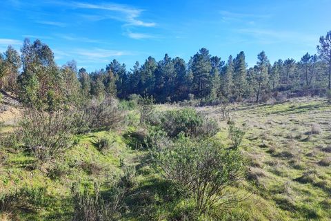 Helårsgrund i Castelo Branco, Castelo Branco, Castelo Branco - € 19.500 | Ref: SÒL_280 - foto 5