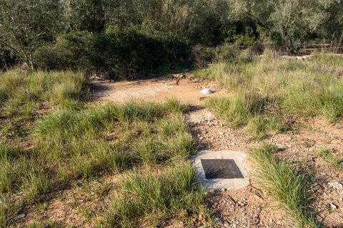 Villa i Freginals, Tarragona, Freginals - € 158.000 | Ref: 843 - foto 23