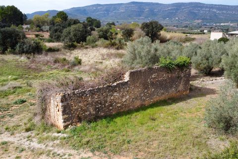 Villa i Freginals, Tarragona, Freginals - € 158.000 | Ref: 843 - foto 30