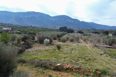 Villa i Freginals, Tarragona, Freginals - € 158.000 | Ref: 843 - foto 32