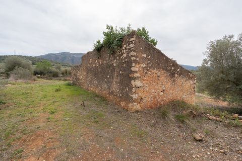 Villa i Freginals, Tarragona, Freginals - € 158.000 | Ref: 843 - foto 33