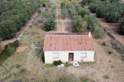 Villa i Freginals, Tarragona, Freginals - € 158.000 | Ref: 843 - foto 36