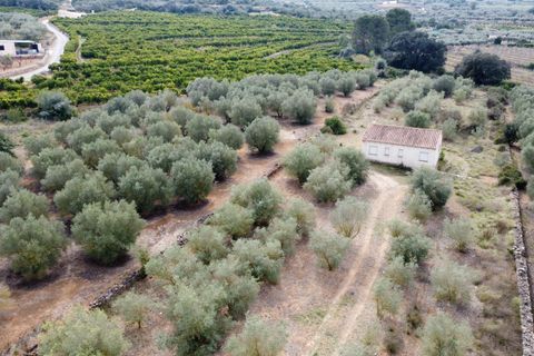 Villa i Freginals, Tarragona, Freginals - € 158.000 | Ref: 843 - foto 38