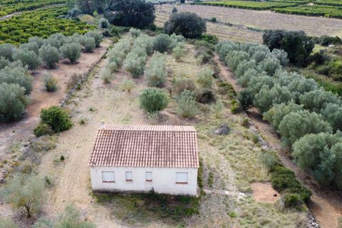 Villa i Freginals, Tarragona, Freginals - € 158.000 | Ref: 843 - foto 35
