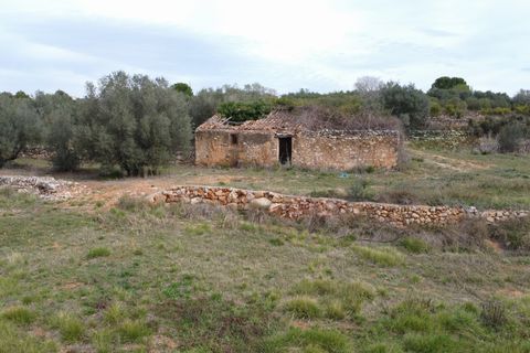 Villa i Freginals, Tarragona, Freginals - € 158.000 | Ref: 843 - foto 31