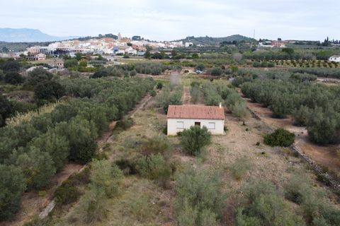 Villa i Freginals, Tarragona, Freginals - € 158.000 | Ref: 843 - foto 5