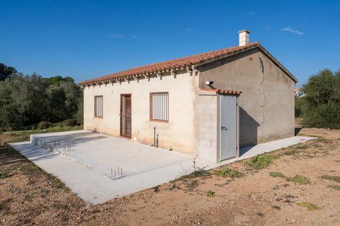 Villa i Freginals, Tarragona, Freginals - € 158.000 | Ref: 843 - foto 2