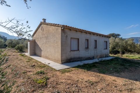 Villa i Freginals, Tarragona, Freginals - € 158.000 | Ref: 843 - foto 4