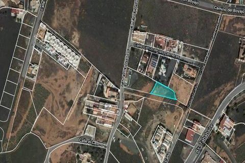 Helårsgrund i La Oliva, Fuerteventura, La Oliva - € 729.000 | Ref: OPTERROLIV0323 - foto 5