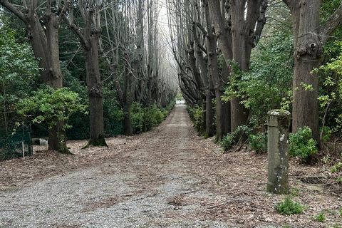Villa i Crespina, Pisa, Crespina - € 2.800.000 | Ref: v57663-x - foto 15