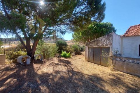 Landejendom i Monchique, Faro, Monchique - € 930.000 | Ref: EXP_258 - foto 7