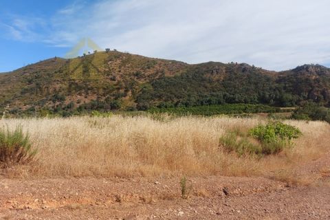 Landejendom i Monchique, Faro, Monchique - € 930.000 | Ref: EXP_258 - foto 8