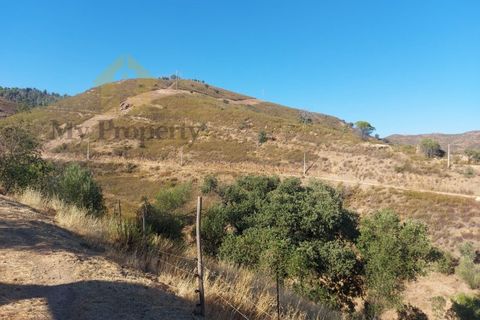 Landejendom i Monchique, Faro, Monchique - € 930.000 | Ref: EXP_258 - foto 10