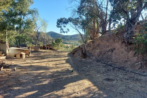 Landejendom i Monchique, Faro, Monchique - € 930.000 | Ref: EXP_258 - foto 11