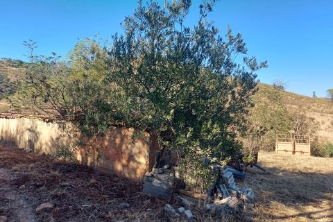 Landejendom i Monchique, Faro, Monchique - € 930.000 | Ref: EXP_258 - foto 12