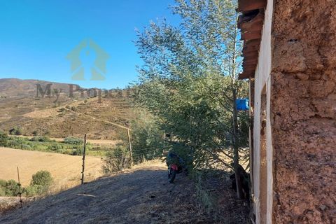 Landejendom i Monchique, Faro, Monchique - € 930.000 | Ref: EXP_258 - foto 13