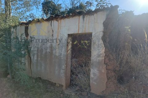 Landejendom i Monchique, Faro, Monchique - € 930.000 | Ref: EXP_258 - foto 15
