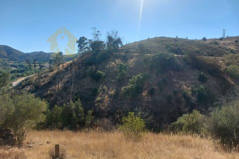 Landejendom i Monchique, Faro, Monchique - € 930.000 | Ref: EXP_258 - foto 18