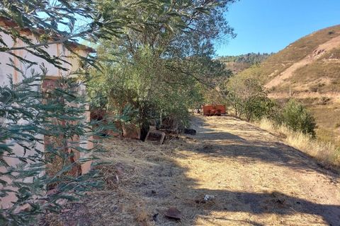 Landejendom i Monchique, Faro, Monchique - € 930.000 | Ref: EXP_258 - foto 20