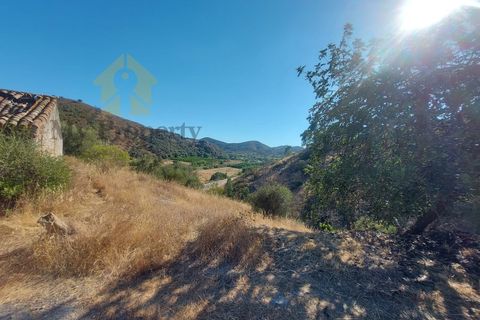 Landejendom i Monchique, Faro, Monchique - € 930.000 | Ref: EXP_258 - foto 23