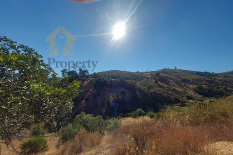 Landejendom i Monchique, Faro, Monchique - € 930.000 | Ref: EXP_258 - foto 25